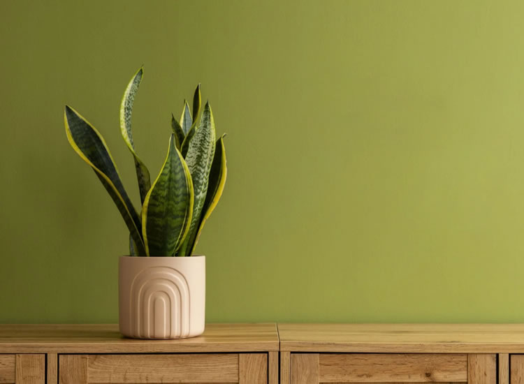 Eco-Friendly & Sustainable Solutions